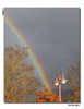 <strong>Santa Rosa Rainbow</strong>